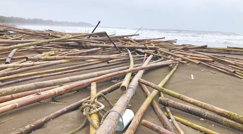 蚵农血本无归 蚵农血本无归