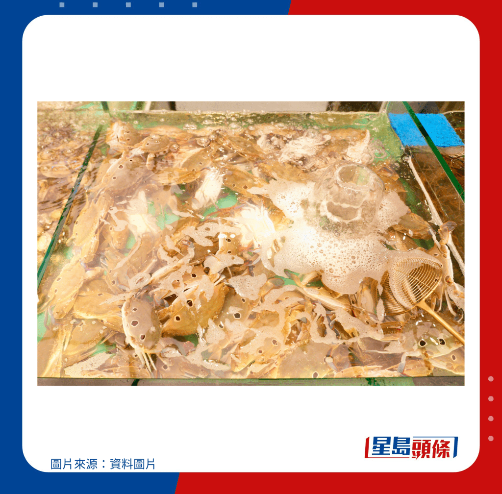 三点蟹、大头虾、鲍鱼、白蚬、花甲等十数款海鲜每日轮流供 三点蟹、大头虾、鲍鱼、白蚬、花甲等十数款海鲜每日轮流供