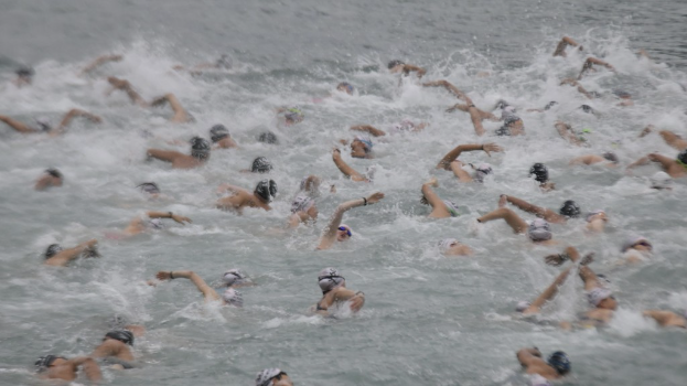 泳总指如需取消赛事将尽快公布。资料图片 泳总指如需取消赛事将尽快公布。资料图片