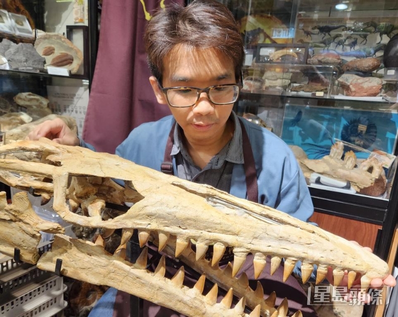 古生物化石工作者龙德骏是化石爱好者。 古生物化石工作者龙德骏是化石爱好者。