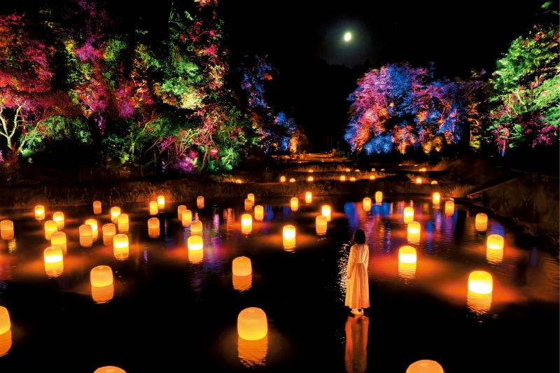 《Hidden Traces of Rice Terraces》 《Hidden Traces of Rice Terraces》