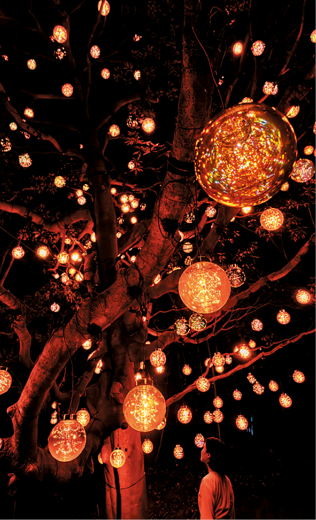 挂满灯饰装置的树 挂满灯饰装置的树