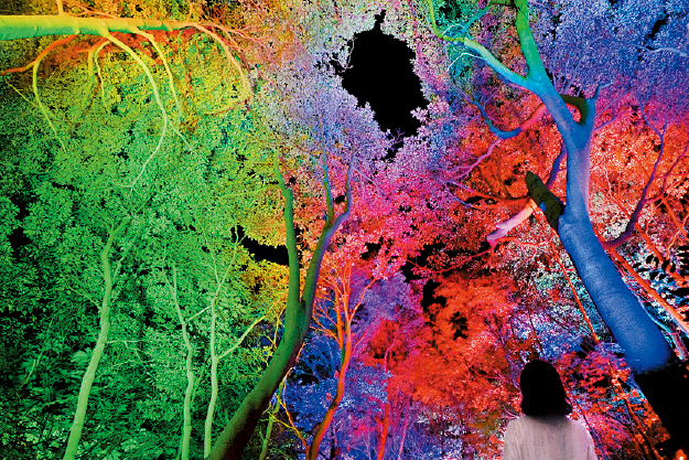 《与幽谷遥遥呼应的森林》 《与幽谷遥遥呼应的森林》