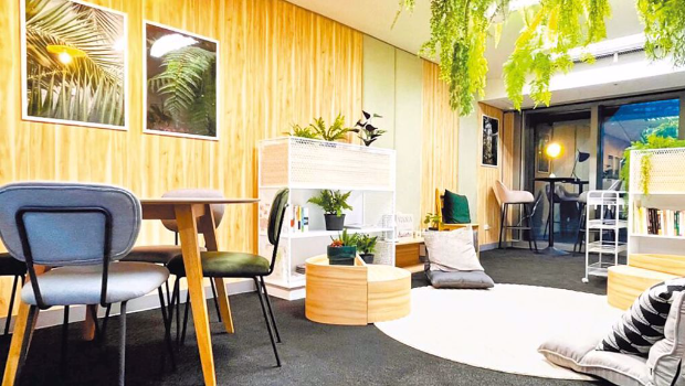 谢宜容将办公室大规模装修 谢宜容将办公室大规模装修