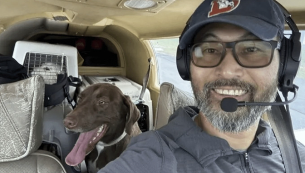 义载逃过安乐死狗狗往安全地却遇堕机 义载逃过安乐死狗狗往安全地却遇堕机