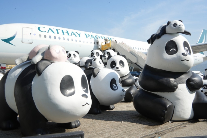 当中8款全新设计的大熊猫造型均以香港6只大熊猫是盈盈、乐乐，以及新成员可可、安安、龙凤胎“家姐”和“细佬”为原型。