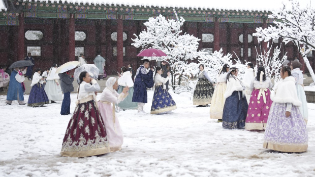 香港多间旅行社有多个旅行团正在韩国。 香港多间旅行社有多个旅行团正在韩国。