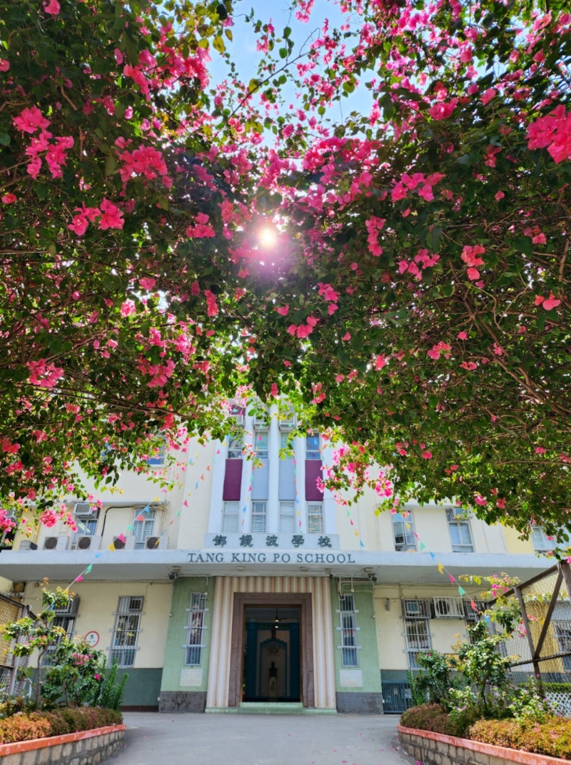 邓镜波学校(图片来源:邓镜波学校) 邓镜波学校(图片来源:邓镜波学校)