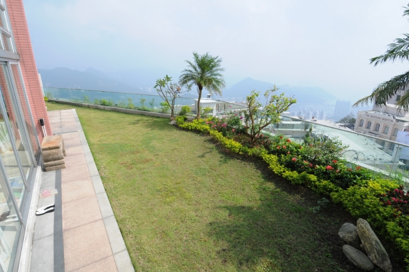 DPPV1024PEAK032 DPPV1024PEAK032