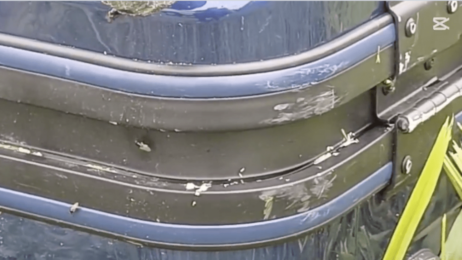 行李箧发出恶臭,不断吸引苍蝇围绕。 行李箧发出恶臭,不断吸引苍蝇围绕。