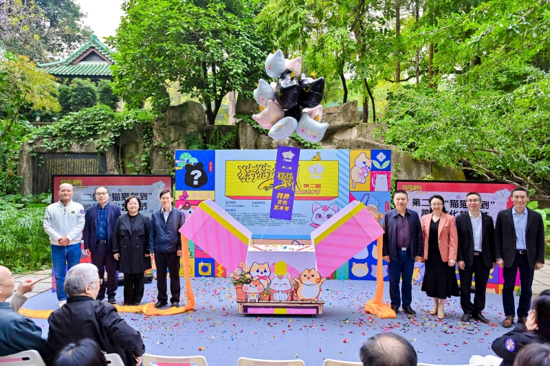 猫猫文化节 猫猫文化节