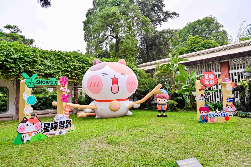 “喵小主”驾到 “喵小主”驾到