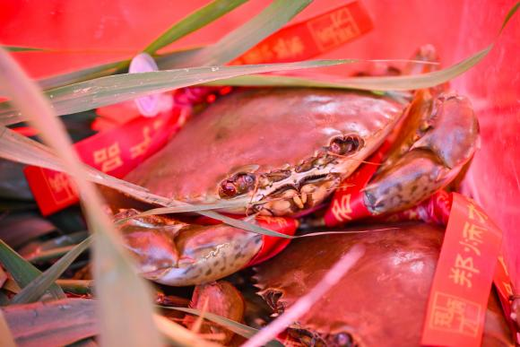 南沙龙穴“三圣公诞” 民俗文化节开幕