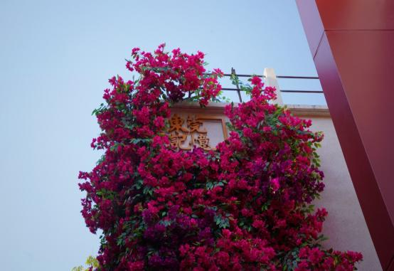 明天开放! “东莞记忆”有多好逛? 明天开放! “东莞记忆”有多好逛?