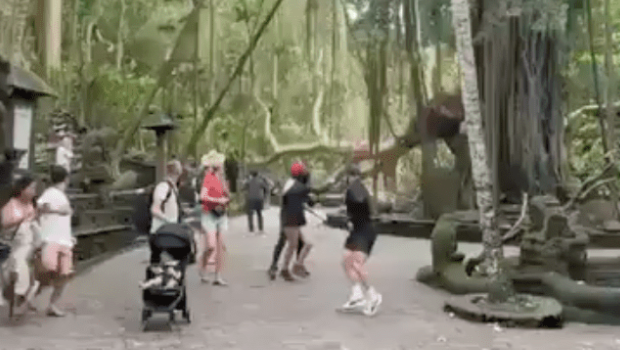 巴厘岛名胜公园多棵大树倒塌