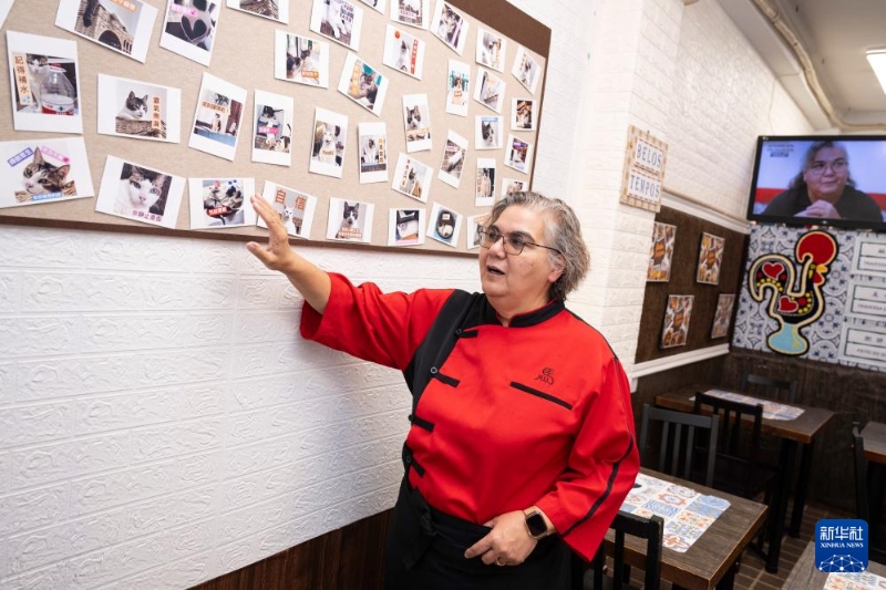 土生葡人马安娜介绍她的宠物猫