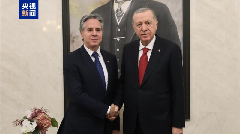 土耳其总统会见布林肯