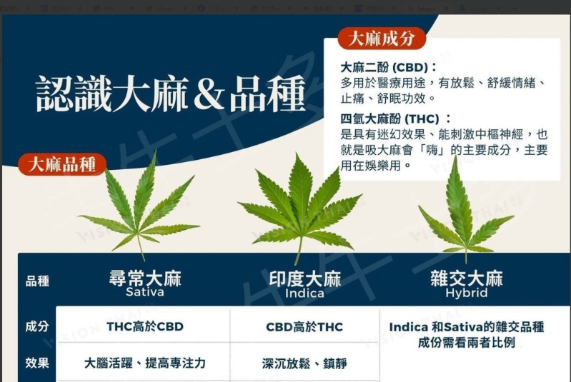 为吸引青少年尝试吸食大麻,毒贩发布贴文介绍吸食方法和益处,却只字不提记忆力衰退等症状。 为吸引青少年尝试吸食大麻,毒贩发布贴文介绍吸食方法和益处,却只字不提记忆力衰退等症状。