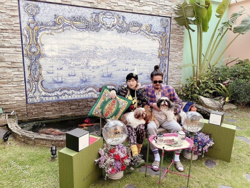 何超仪平日都经常在家中拍照，家中花园大到咁。