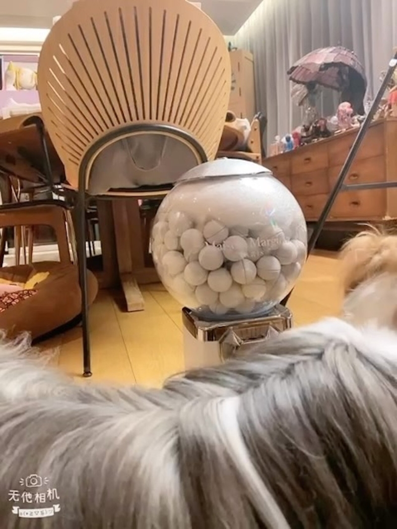 屋内环境很开扬。2