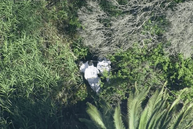 警方发现疑似陈嘉宝尸体现场。新南威尔斯警方 警方发现疑似陈嘉宝尸体现场。新南威尔斯警方