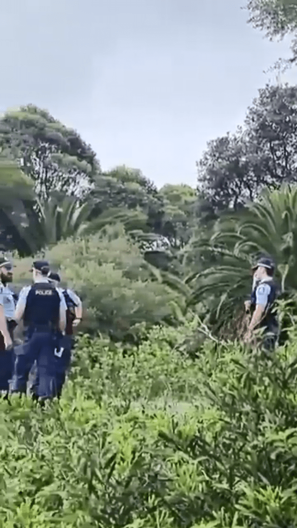 弃尸地点为郊区一处草丛。X平台 弃尸地点为郊区一处草丛。X平台