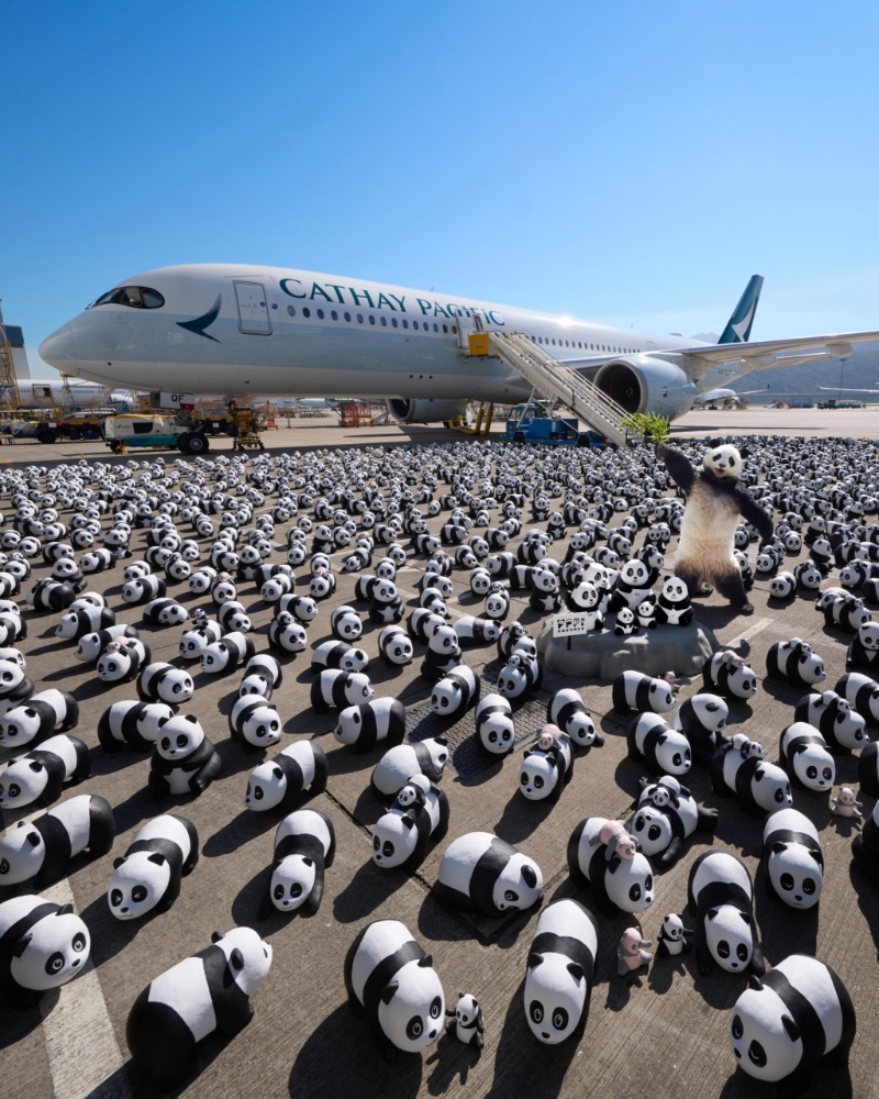 香港熊猫展_2,500只大熊猫早前“落机”率先跟大家见面,于全港最大型熊猫展览《PANDA GO! 香港游》! (图片来源: AllRightsReserved) 香港熊猫展_2,500只大熊猫早前“落机”率先跟大家见面,于全港最大型熊猫展览《PANDA GO! 香港游》! (图片来源: AllRightsReserved)