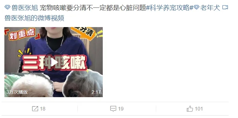 宠物咳嗽 宠物咳嗽