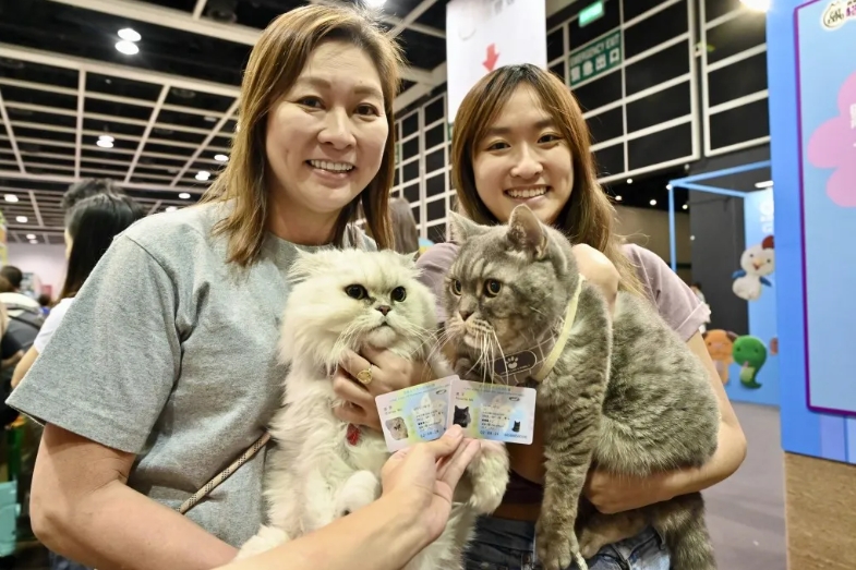 养猫人士 养猫人士