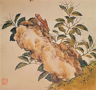 居廉笔下的金粟兰、石蛙 居廉笔下的金粟兰、石蛙