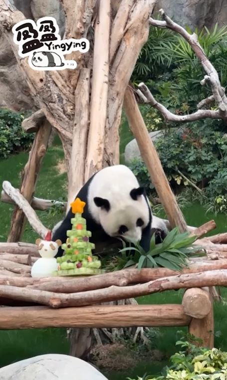 妈妈盈盈。 妈妈盈盈。