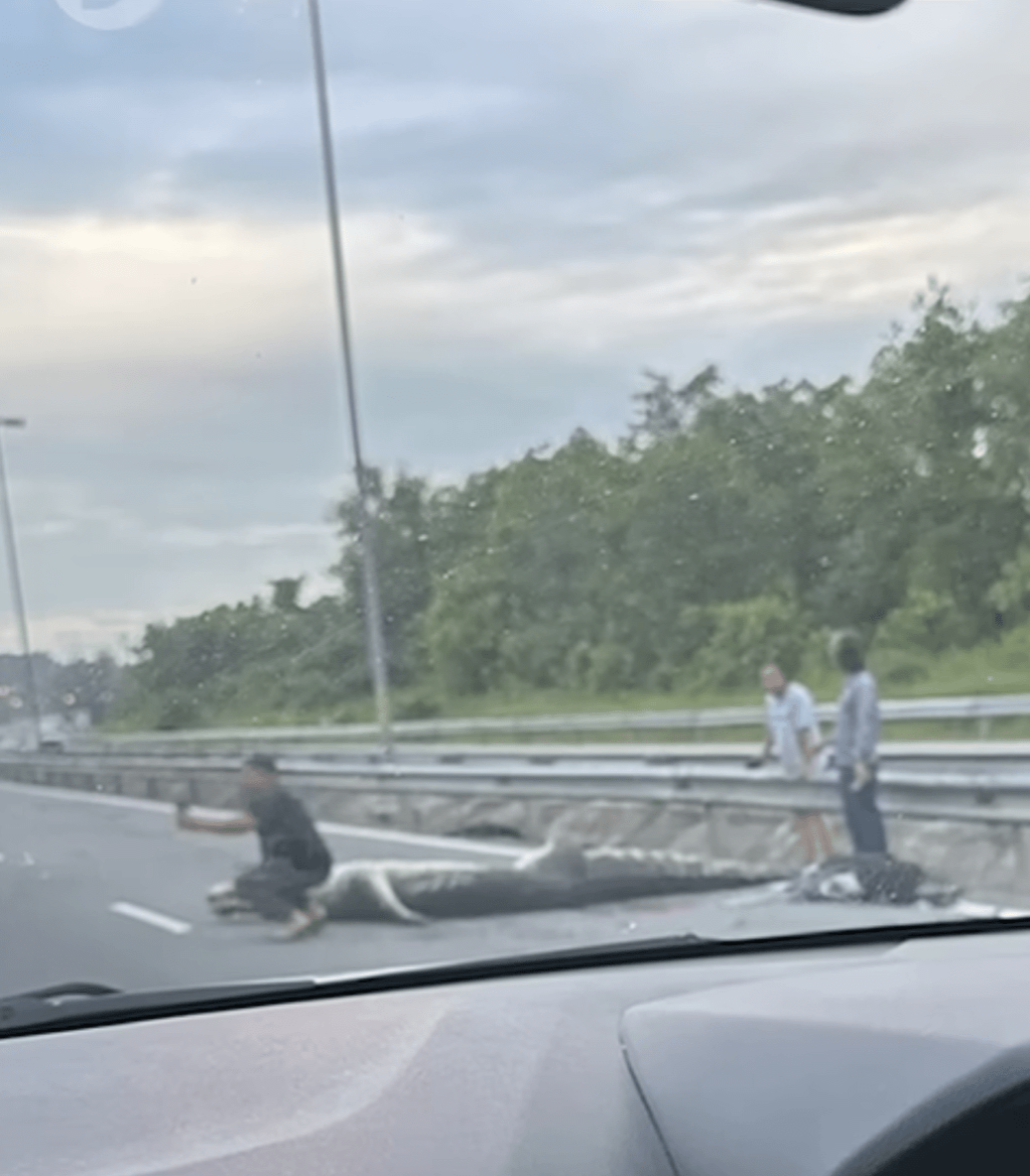 不少驾驶者好奇下车拍照及驻足观看。 不少驾驶者好奇下车拍照及驻足观看。