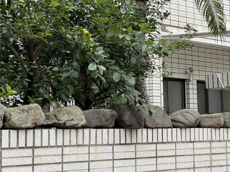 柯文哲新竹老家至今仍无人进出,根据邻居说法,已经好几个月没人进出。 柯文哲新竹老家至今仍无人进出,根据邻居说法,已经好几个月没人进出。