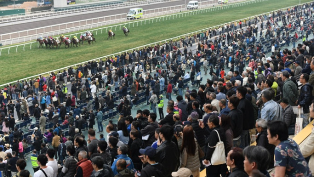 元旦赛马入场人数创6年新高 元旦赛马入场人数创6年新高