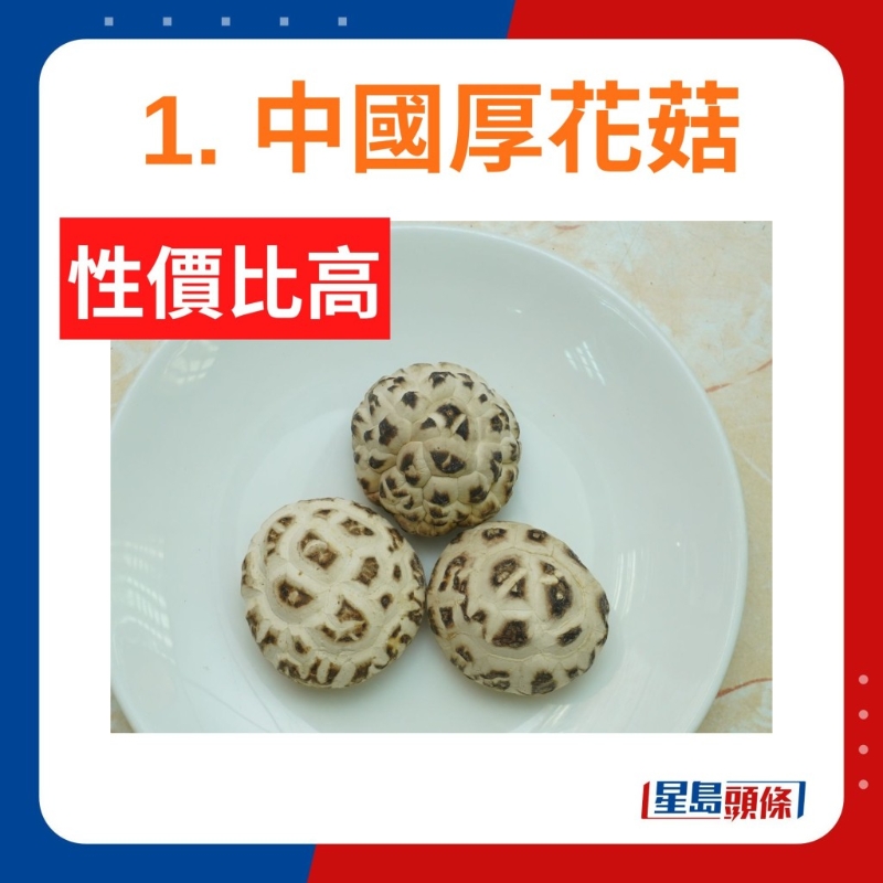 中国厚花菇 中国厚花菇