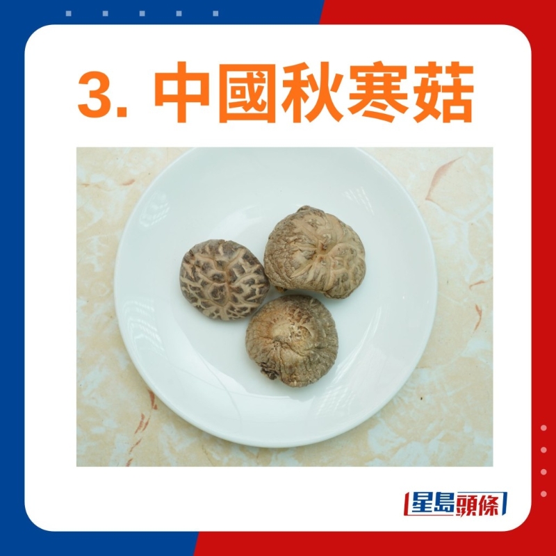 中国秋寒菇 中国秋寒菇