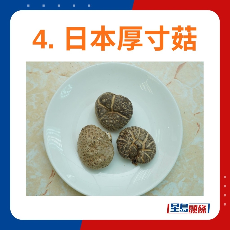 日本厚寸菇 日本厚寸菇