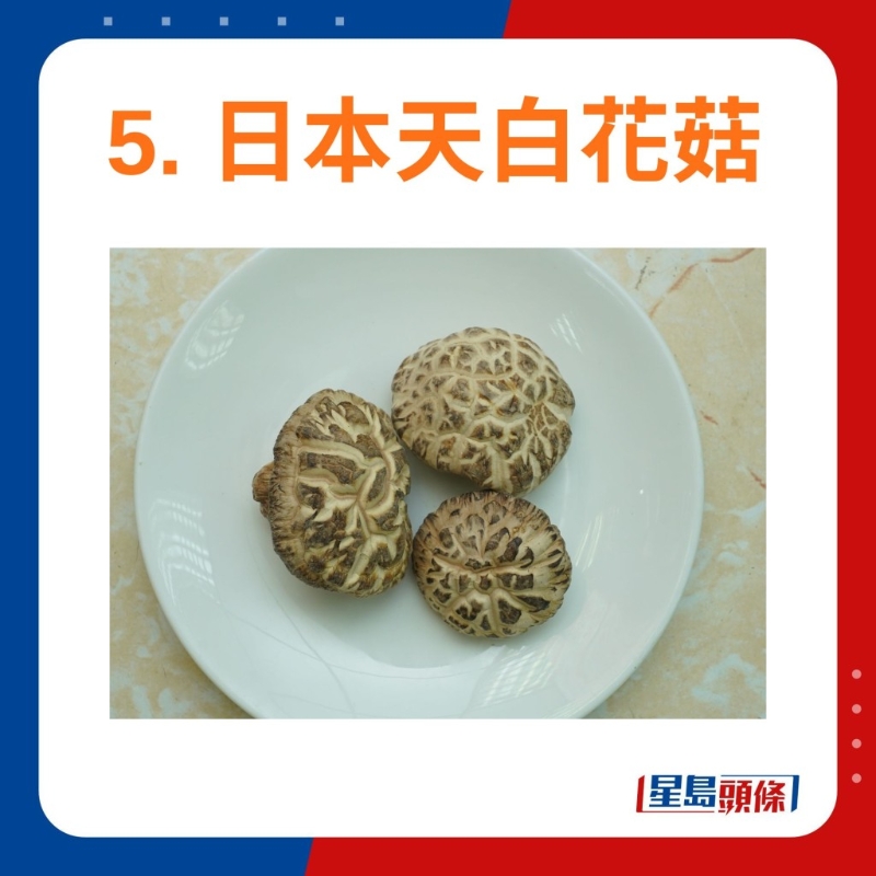 日本天白花菇 日本天白花菇