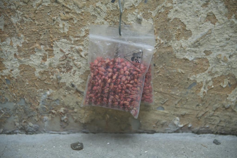 不少网民担心宠物误服毒鼠饵会影响健康。