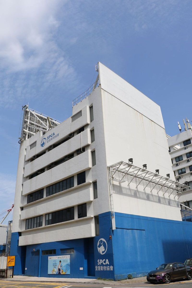 爱护动物协会于过去3年，协助警方处理21宗疑似狗只中毒案件。