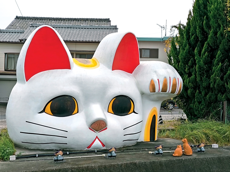 fea024p01090125 copy fea024p01090125 copy