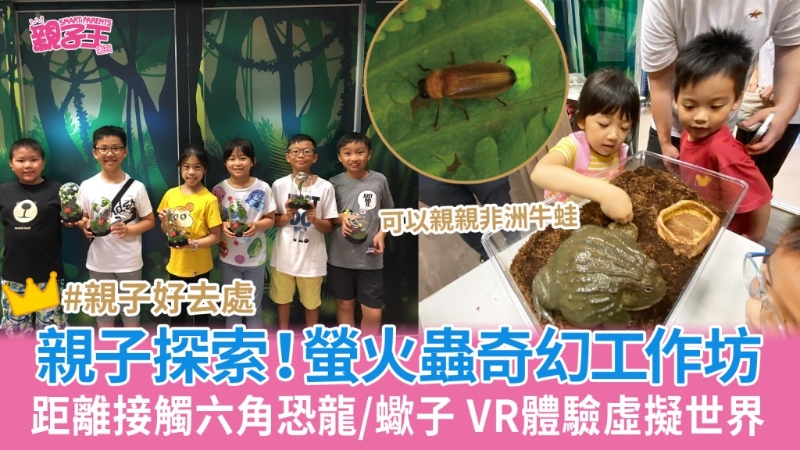 萤火虫奇幻工作坊