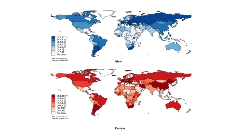 按年龄及性别划分,年介50至74岁长者发病率最高,且男性发病率高于女性。 按年龄及性别划分,年介50至74岁长者发病率最高,且男性发病率高于女性。