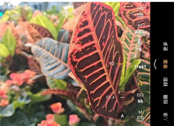 专业模式 专业模式