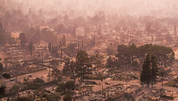 山火已杀11人死亡数料续增 山火已杀11人死亡数料续增