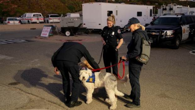 有窃匪竟扮成消防员偷窃,图为消防员在马里布一带出动情绪支援犬。 有窃匪竟扮成消防员偷窃,图为消防员在马里布一带出动情绪支援犬。