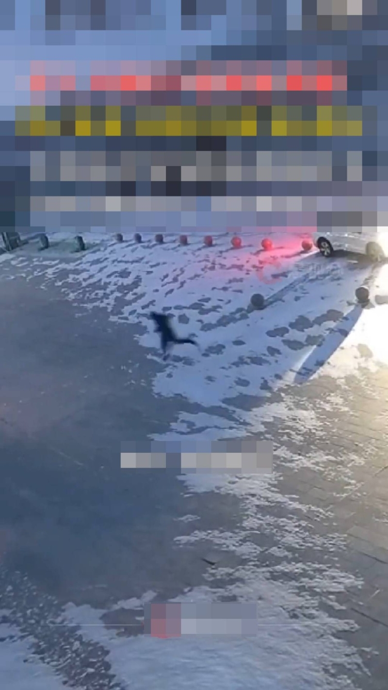 男子下车飞奔。