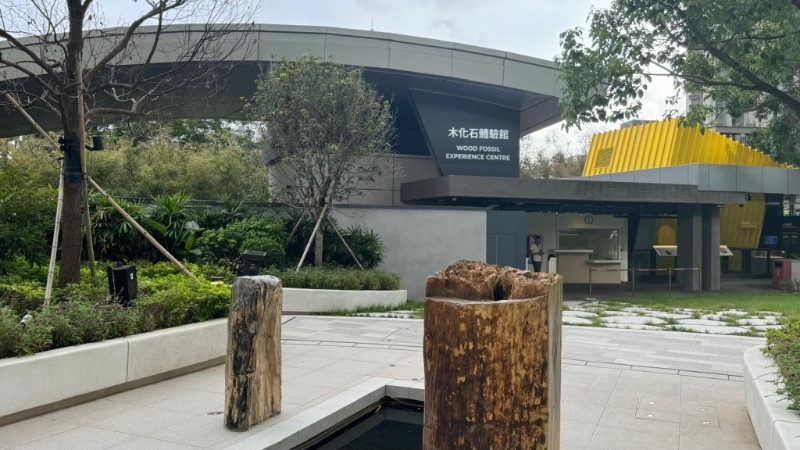 香港首个及唯一木化石公园（图片来源：《亲子王》）