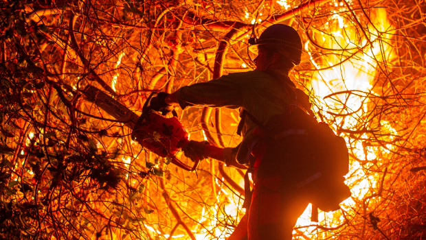 加州逾千囚犯化身消防员 加州逾千囚犯化身消防员