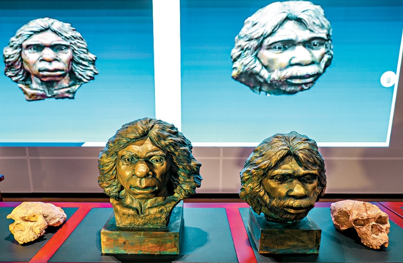 fea024p10160125 copy